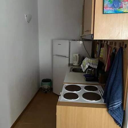 Chaika Apartment *